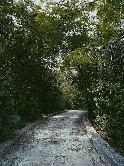 Reserva Natural Ombligo Verde